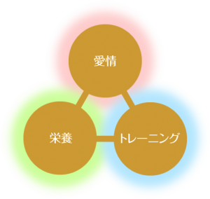 子育て(人間形成)に欠かせない三要素